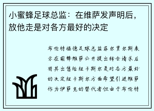 小蜜蜂足球总监：在维萨发声明后，放他走是对各方最好的决定